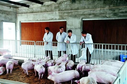 ������ʱ - �������ǲ�!